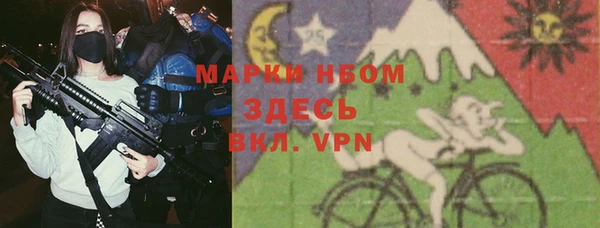стаф Бородино