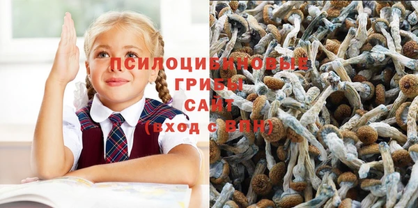 меф Богданович