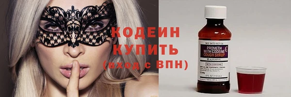 стаф Бородино