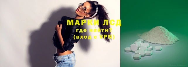 прущие грибы Бугульма