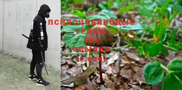 прущие грибы Бугульма