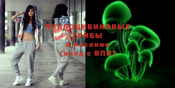 стаф Бородино