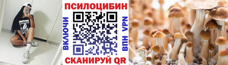Галлюциногенные грибы мицелий  хочу наркоту  Звенигород 
